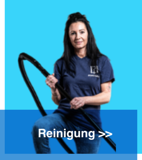 Leistung Reinigung
