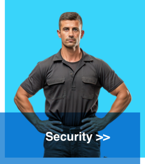 Leistung Security